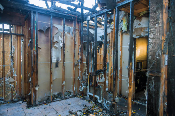 Professional Smoke Damage Removal technician working in Plymouth Meeting, PA